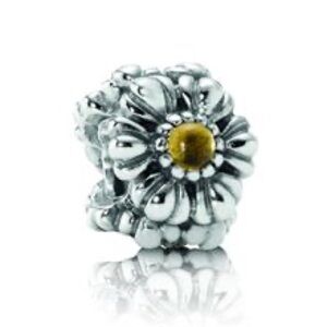 NWOT‎ floral Pandora stone charm